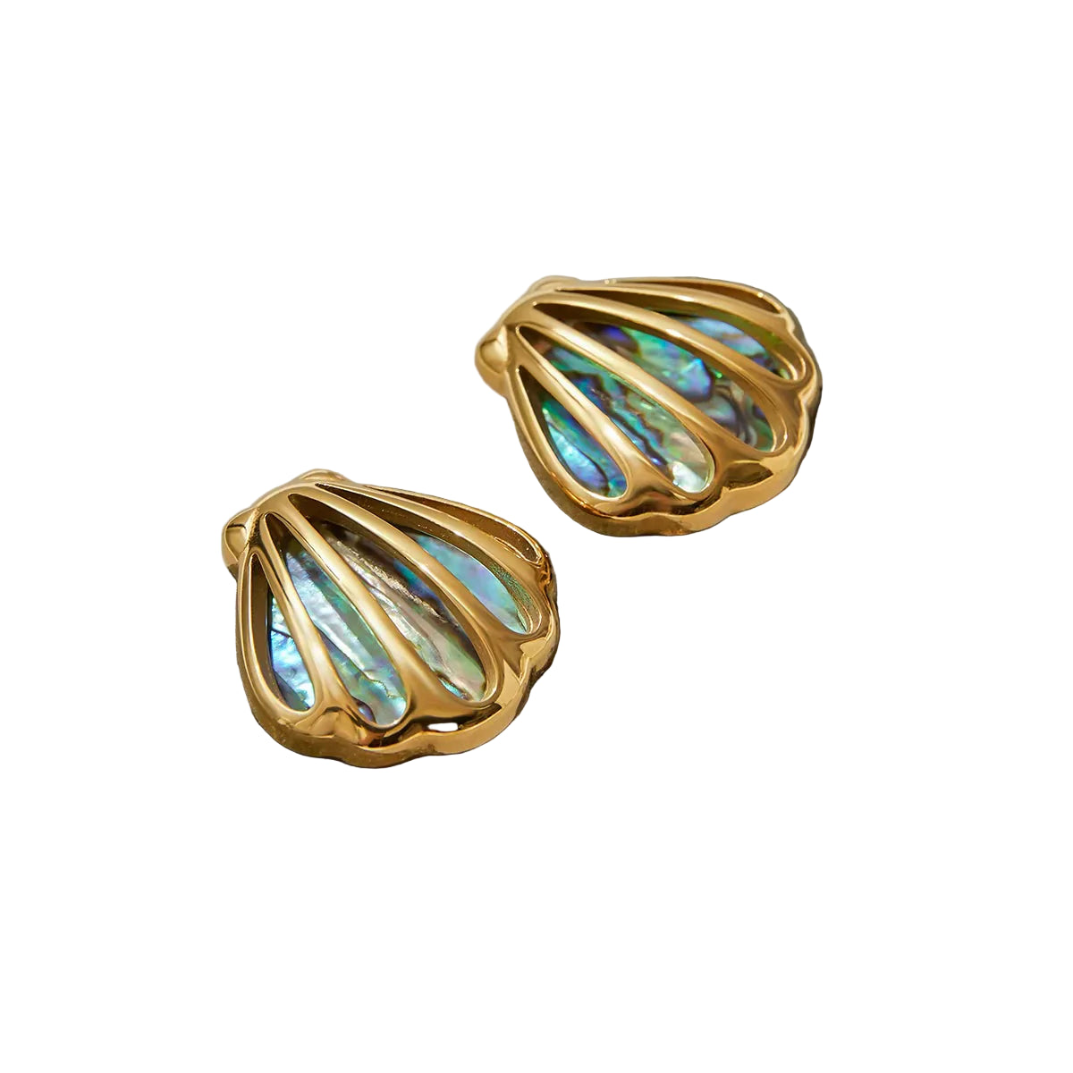 Shell Abalone Earrings